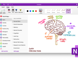 OneNote OneDrive erreur de Bloc-notes